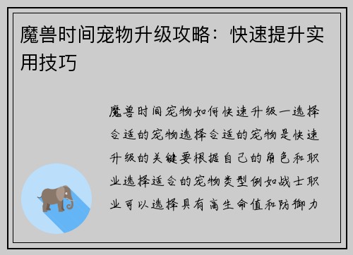 魔兽时间宠物升级攻略：快速提升实用技巧